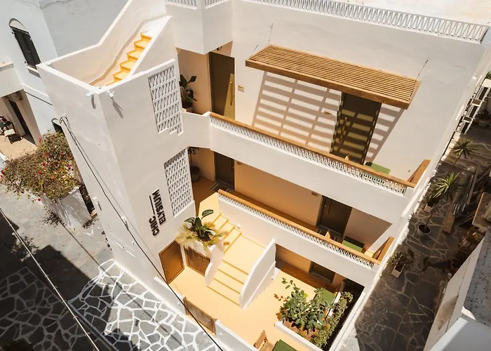 Chic Elysium - Felicity